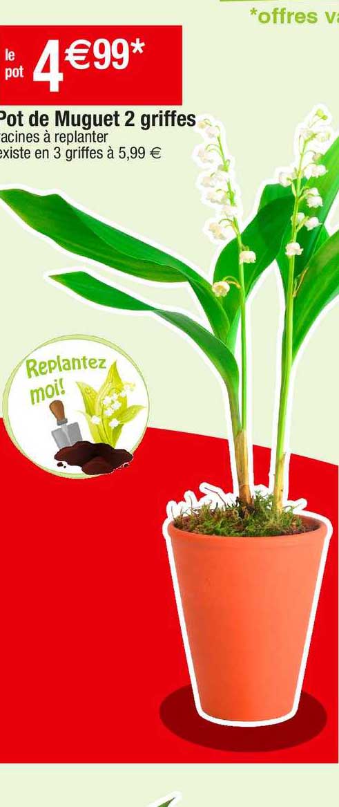 pot de muguet 2 griffes