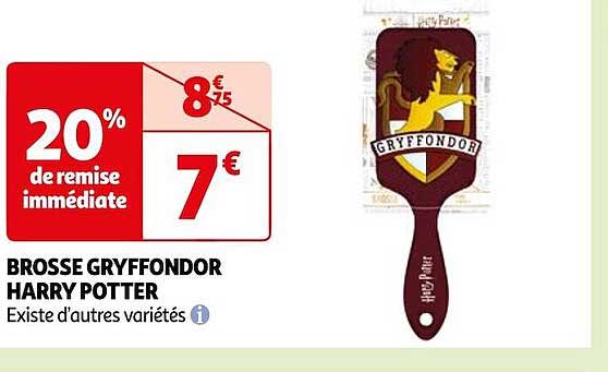brosse gryffondor harry potter