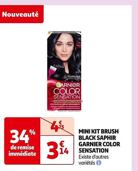 Mini Kit Brush Black Saphir Garnier Color Sensation