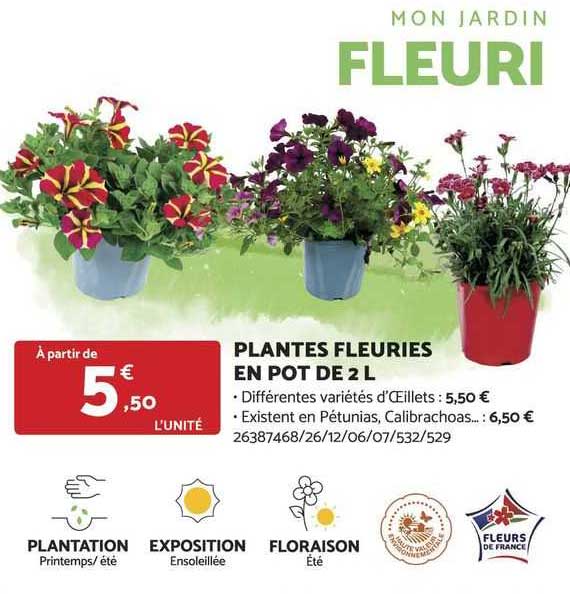 plantes fleuries en pot de 2l