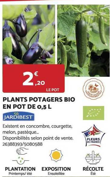 plants potagers bio en pot de 0,5 l jardibest