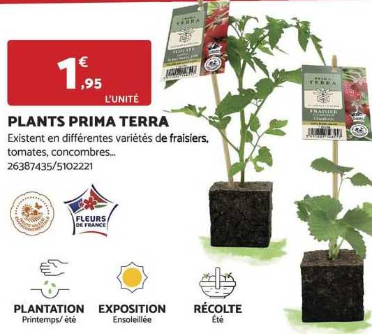 plants prima terra
