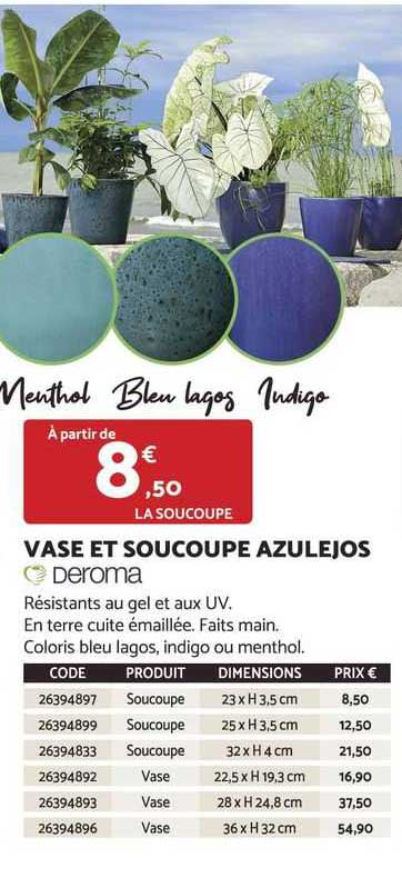 vase et soucoupe azulejos