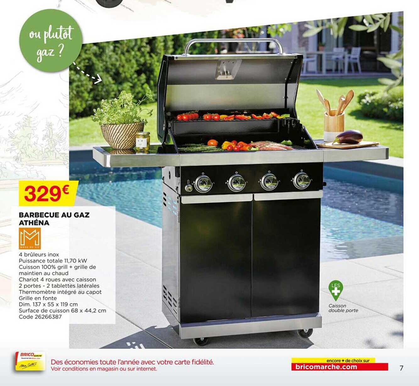 Barbecue Au Gaz Athéna