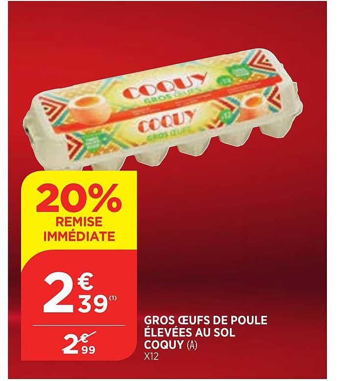 gros oeufs de poule élevées au sol coquy