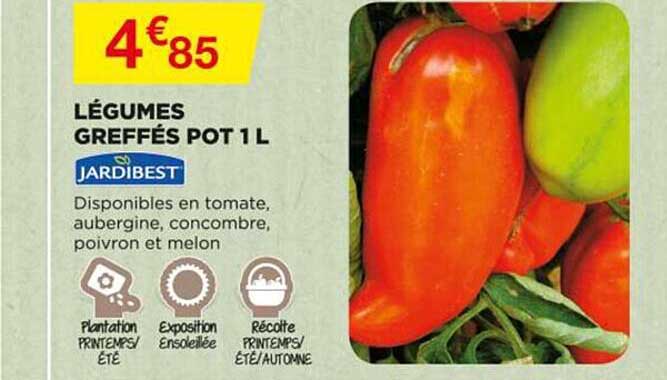 légumes greffés pot 1 l jardibest