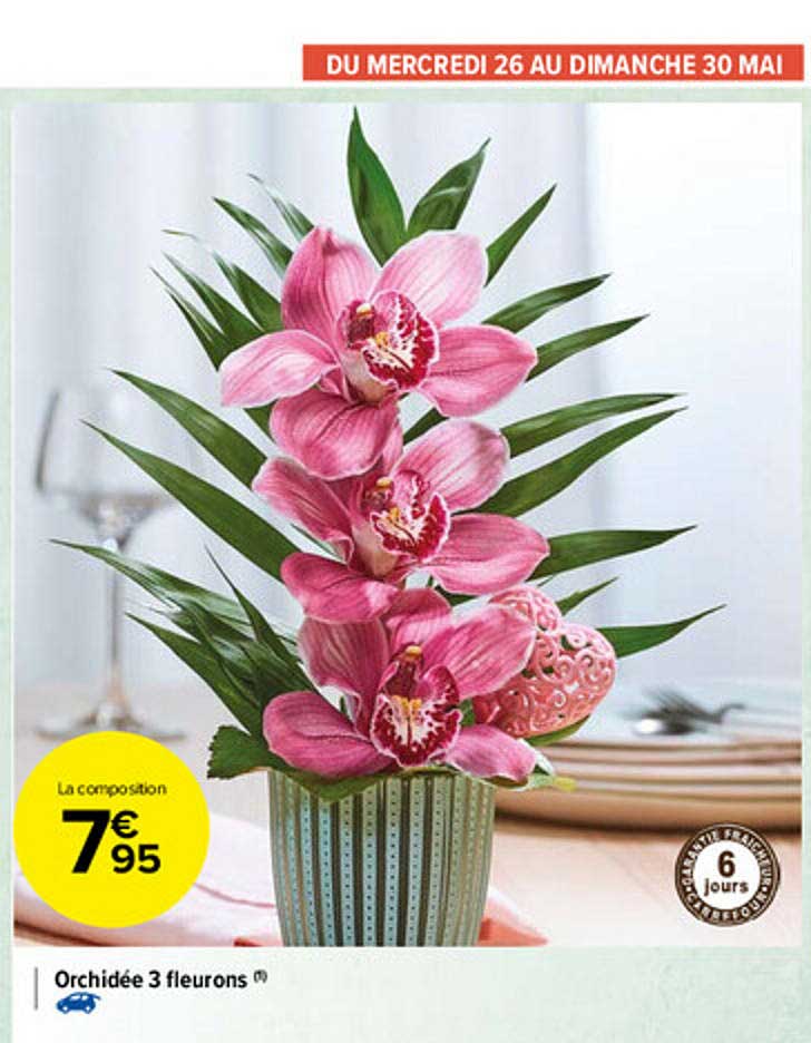 orchidée 3 fleurons