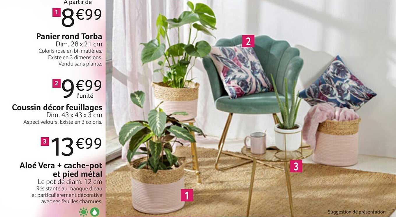 panier rond torba, coussin décor  feuillages, aloé vera + cache-pot et pied métal