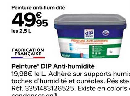 peinture dip anti-humidité