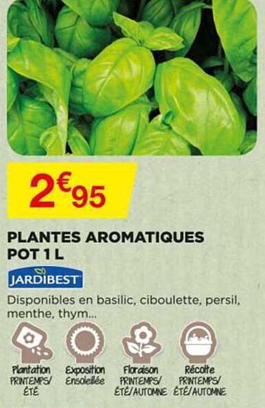Plantes Aromatiques Pot 1 L Jardibest