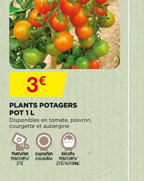 plants potagers pot 1 l
