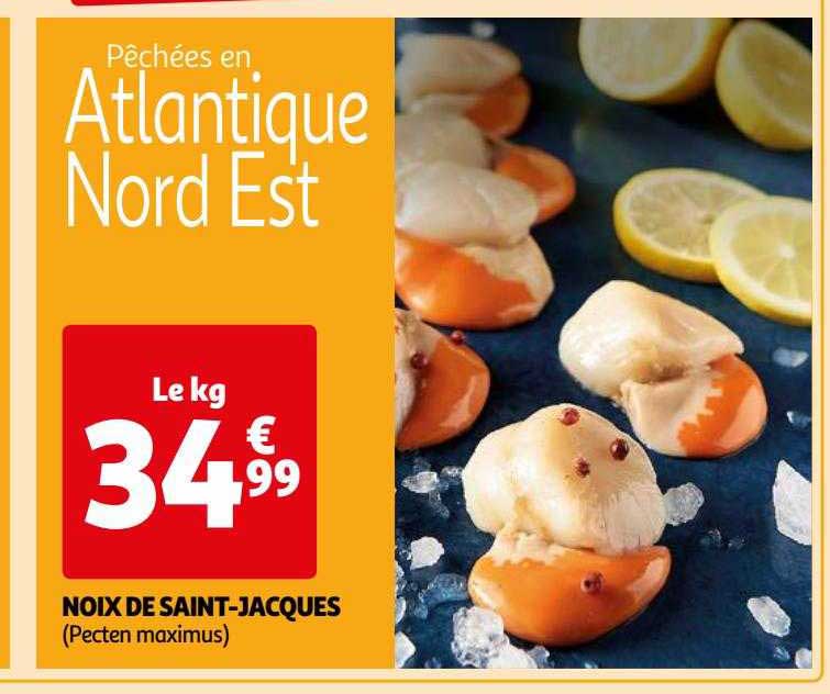 noix de saint-jacques