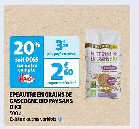 épeautre en grains de gascogne bio paysans d'ici