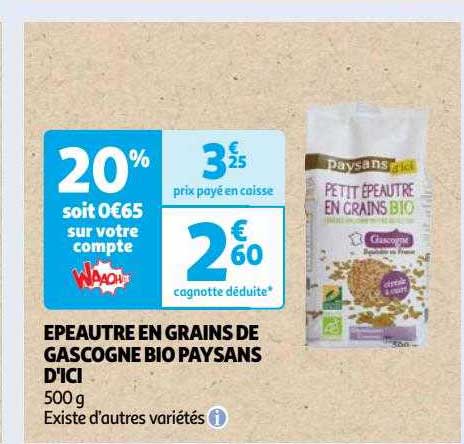 épeautre En Grains De Gascogne Bio Paysans D'ici