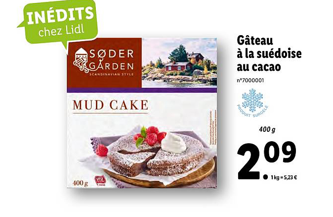 Gâteau à La Suédoise Au Cacao
