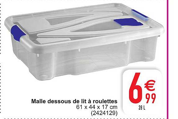 Malle Dessous De Lit à Roulettes