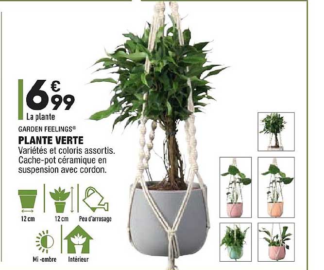 plante verte garden feelings