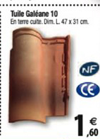 Tuile Galéane 10
