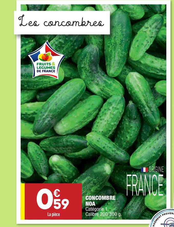 Concombre Noa