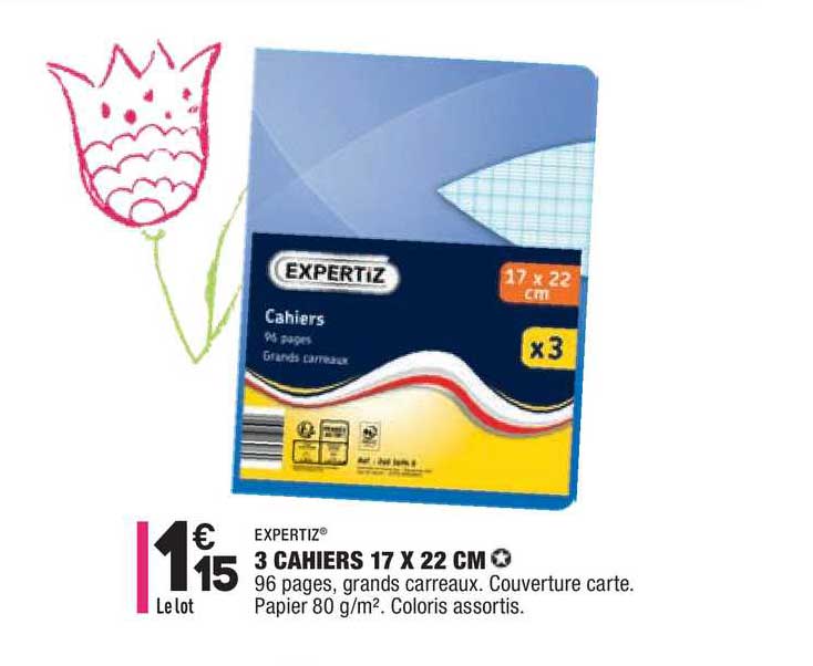 Expertiz 3 Cahiers 17 X 22 Cm