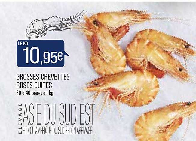 grosses crevettes roses cuites