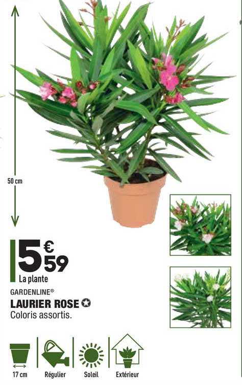 Laurier Rose Gardenline