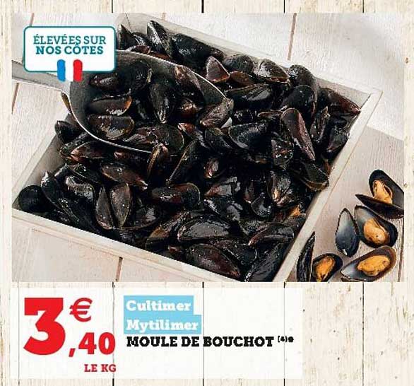 Moule De Bouchot Cultimer Mytilimer
