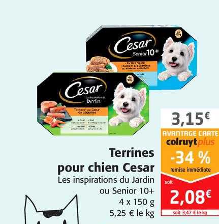 terrines pour chien cesar les inspirations du jardin ou senior 10+