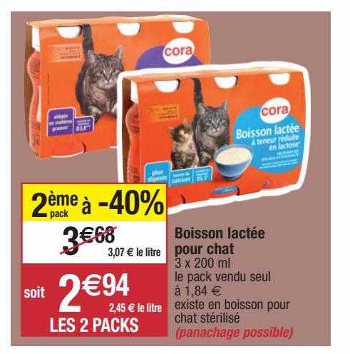 boisson lactée pour chat