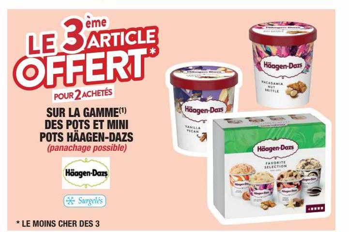 la gamme des ports et mini pots häagen-dazs