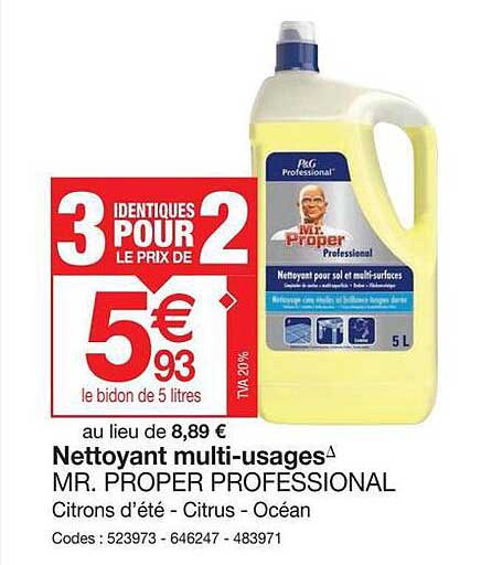 nettoyant multi-usages mr. proper professional