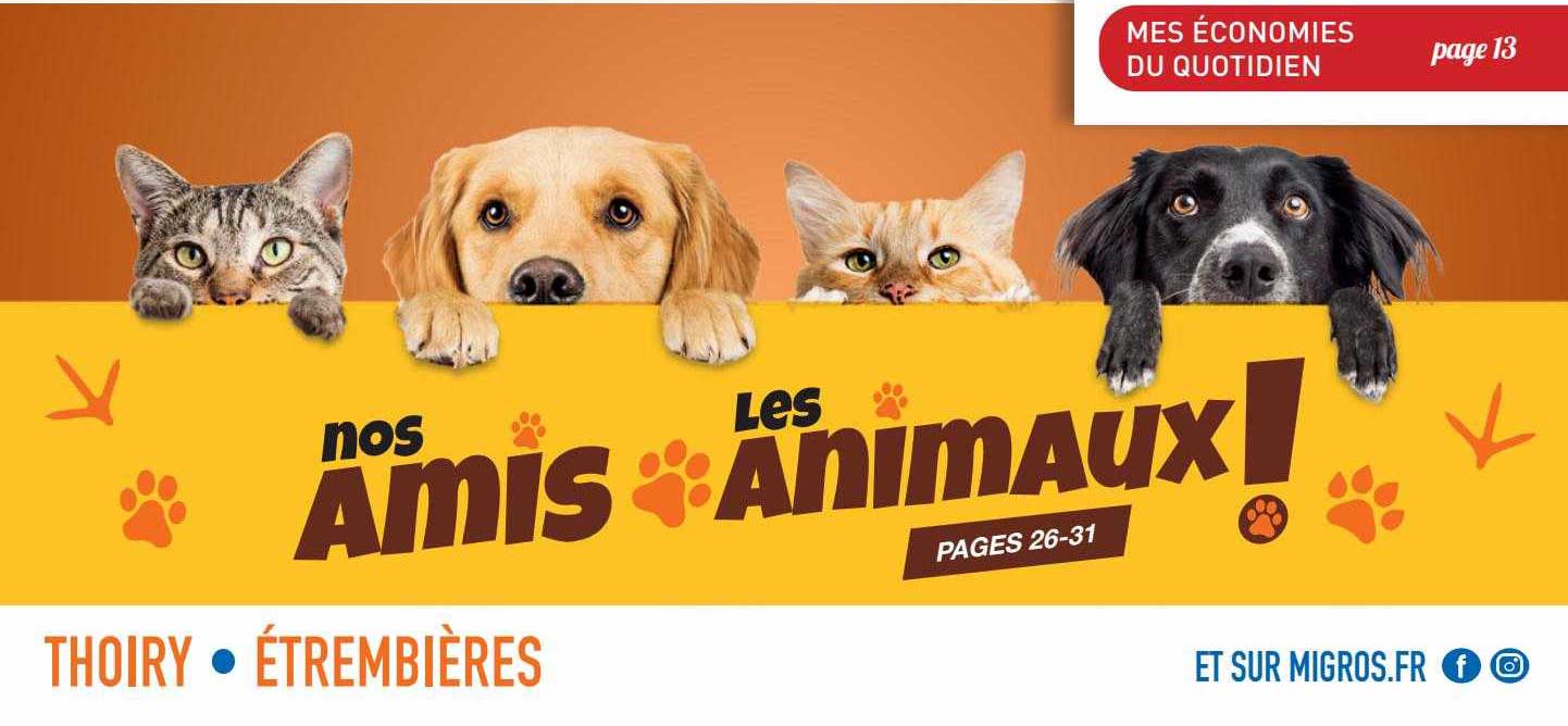 nos amis les animaux