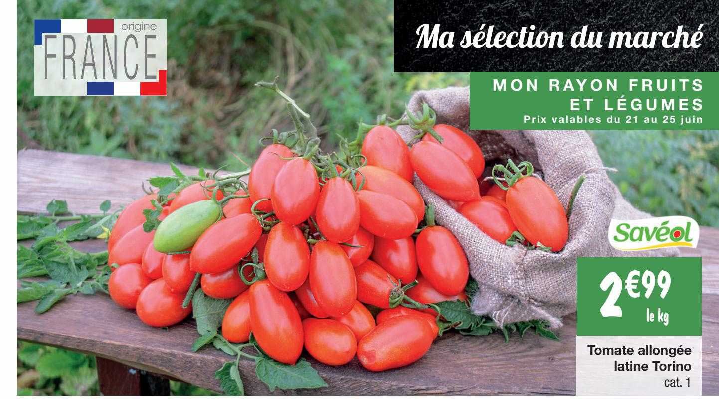 tomate allongée latine torino