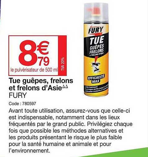 tue guêpes, frelons et frelons d'asie fury