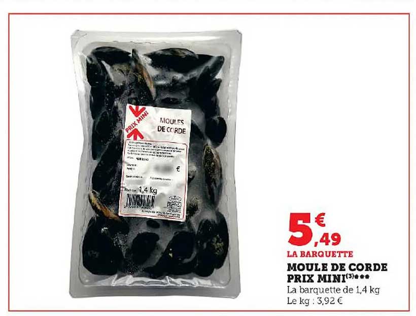 moule de corde prix mini