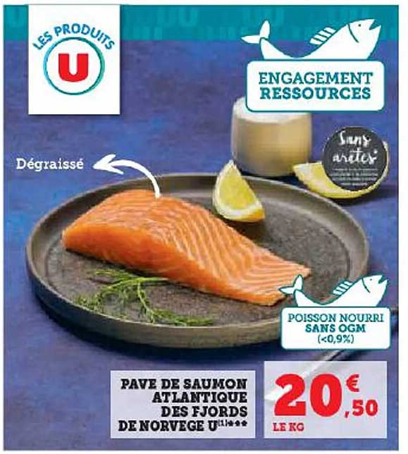 Pavé De Saumon Atlantique Des Fjords De Norvège U