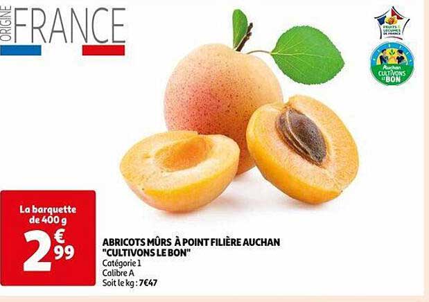 abricot mûrs à point filière auchan "cultivons le bon"