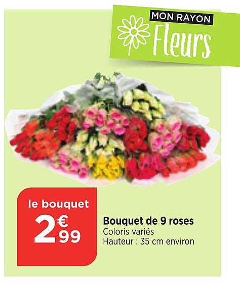 Bouquet De 9 Roses