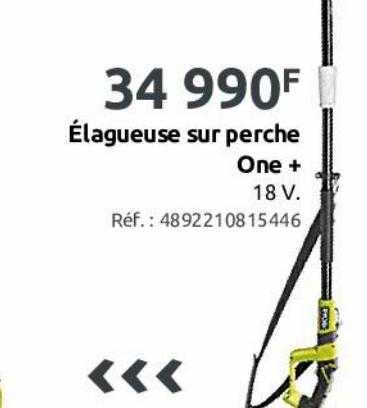 élagueuse Sur Perche One +