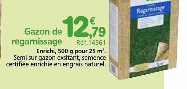 Gazon De Regarnissage