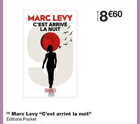 marc levy "c'est arrivé la nuit"