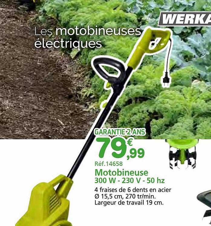 motobineuse 300w - 230v - 50hz werka pro