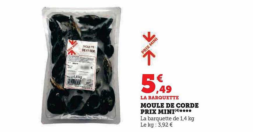 moule de corde prix mini