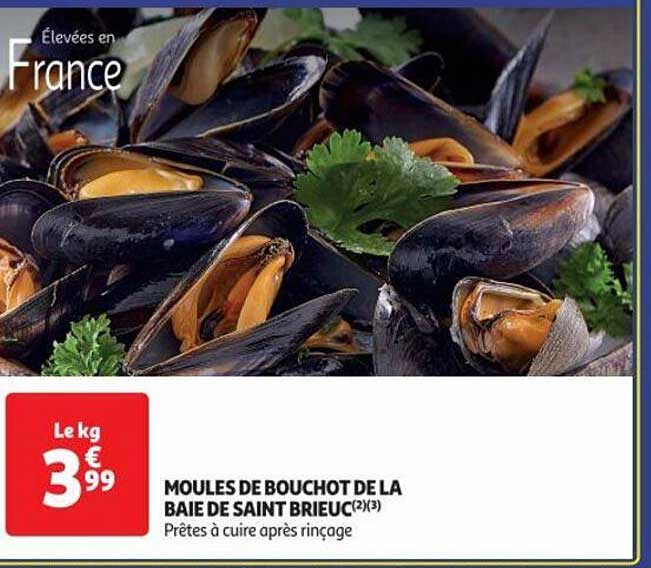Moules De Bouchot De La Baie De Saint Brieuc
