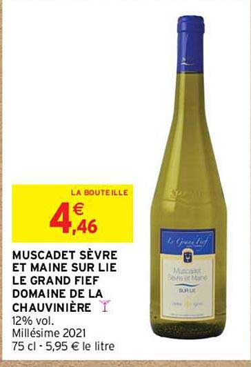 Muscadet Sèvre Et Maine Sur Lie Le Grand Fief Domaine De La Chauvinière