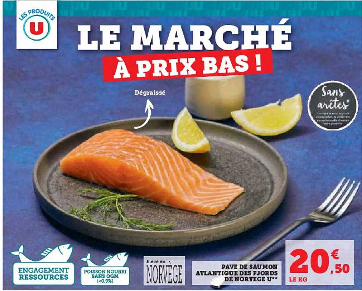 Pavé De Saumon Atlantique Des Fjords De Norvège U