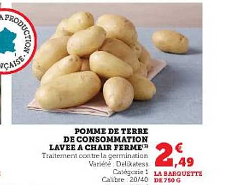 Pomme De Terre De Consommation Lavée à Chair Ferme