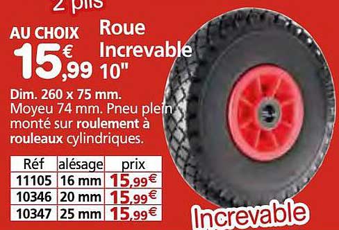roue increvable 10"