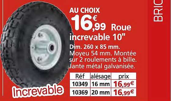 roue increvable 10"