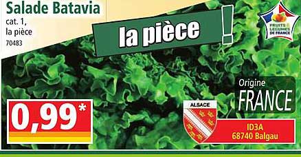 Salade Batavia